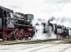 Parada parowozów w Wolsztynie